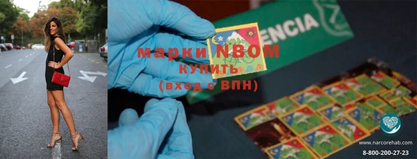 крисы Няндома