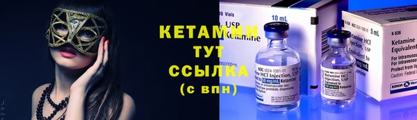 крисы Няндома