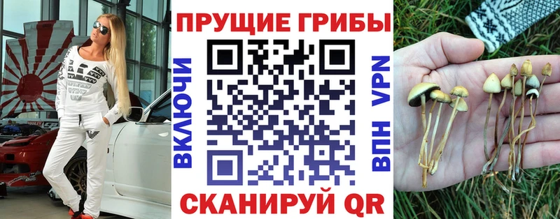 блэк спрут зеркало  Беломорск  Псилоцибиновые грибы прущие грибы 
